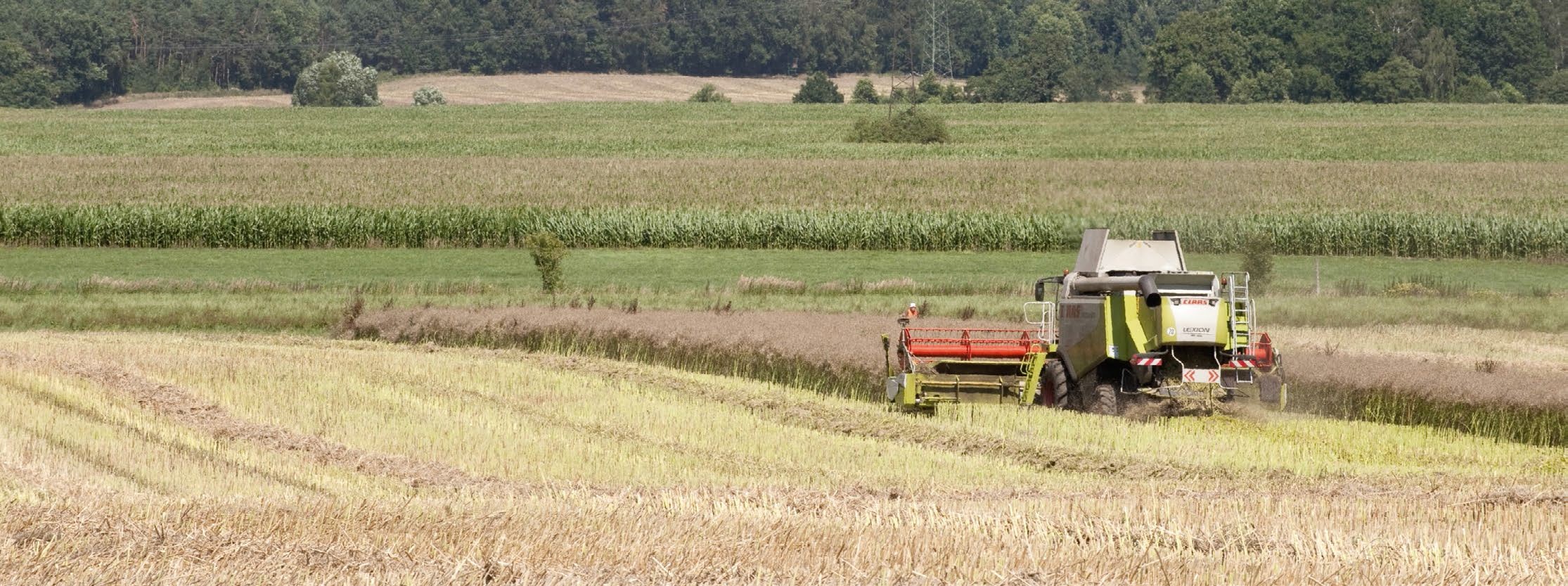 Rethink agricultural productivity Rethink agricultural productivity